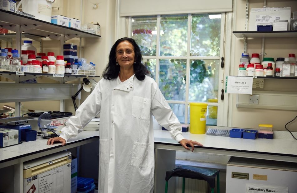 Prof. Shanta Persaud